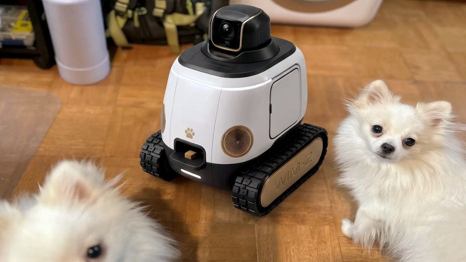 AI robot may stop your dog from barking while you're gone