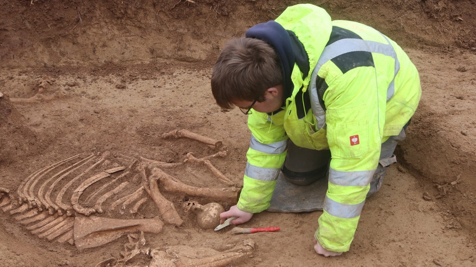 Archaeologists uncover massive number of horse skeletons at 'important' Roman military site