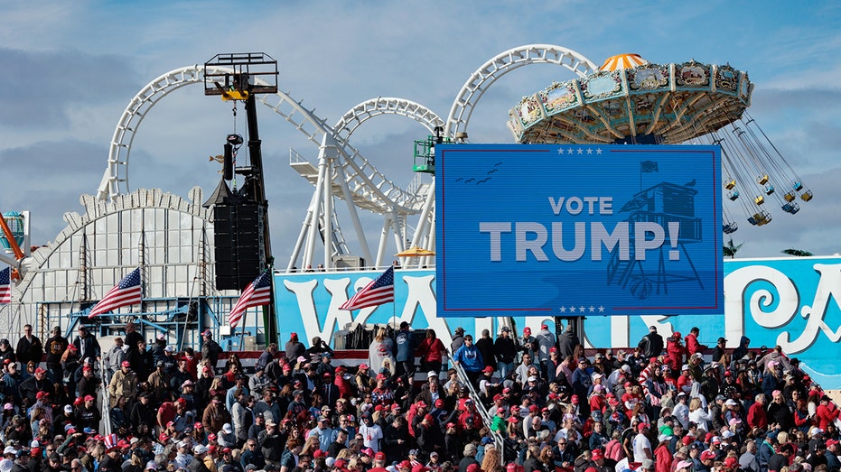 Canadian woman accused of slapping Trump-supporting teen turned over to ICE