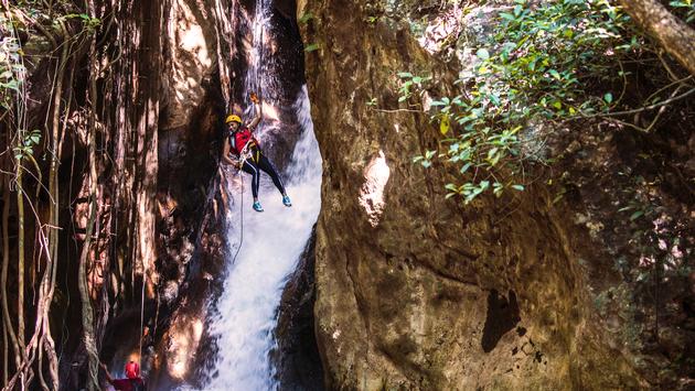 Costa Rica Is Back, Greener and More Intense