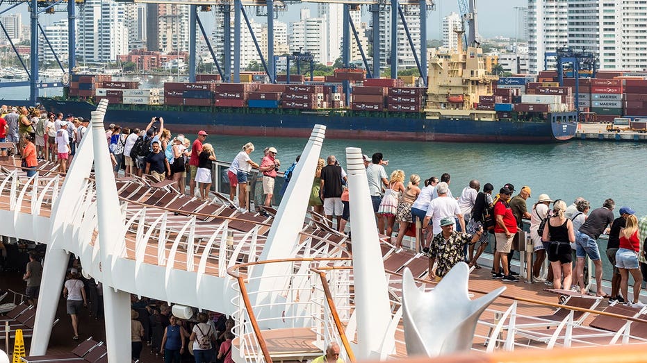 Cruise passenger hailed as hero after jumping into water to save 84-year-old man