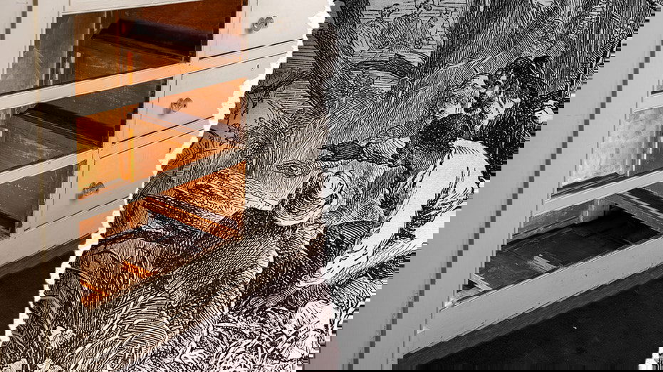 Hidden NYC tunnel tied to Underground Railroad at risk of 'significant damage,' advocates warn