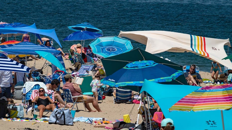 How a booming coastal escape learned to coexist with the ocean's top predator