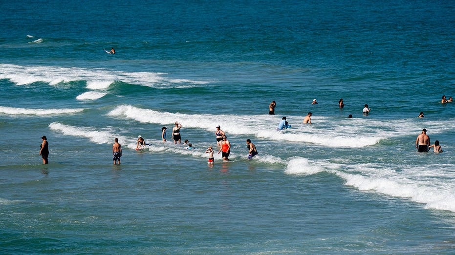 Shark Week advisory as warming seas push blacktips farther north along East Coast