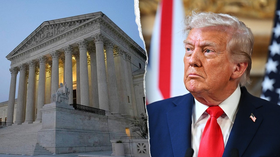 Trump to ask Supreme Court to rehear birthright citizenship case after 'insane decision'